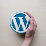 Jak si vytvořit vlastní web ve WordPressu